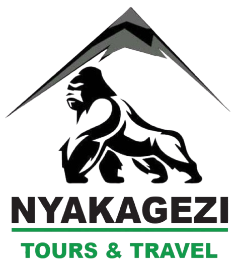 nyaka-logo